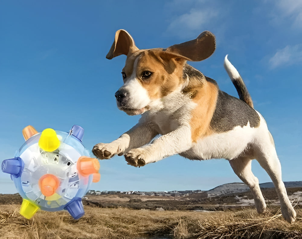 Flashing Light Bouncing Interactive Rubber Ball Dog Toy