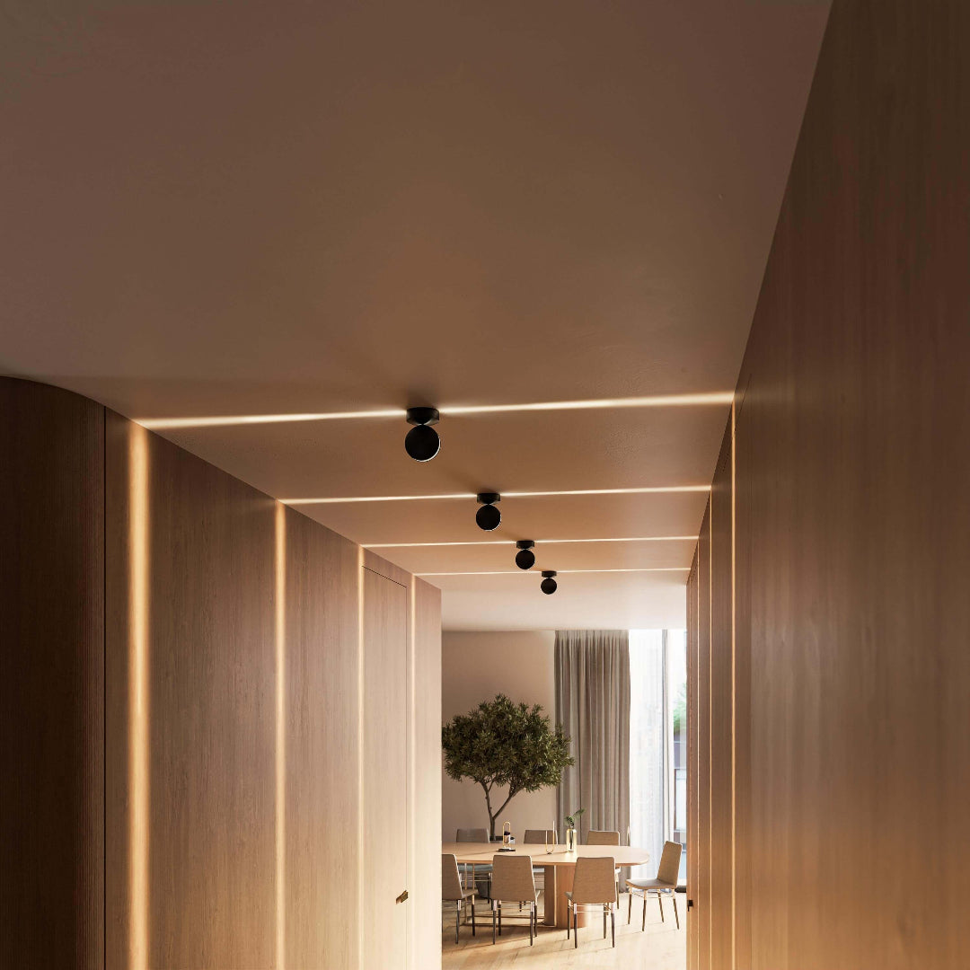 Adjustable Minimalist Matte Finish Ceiling Light Fixture Indoor Spotlight
