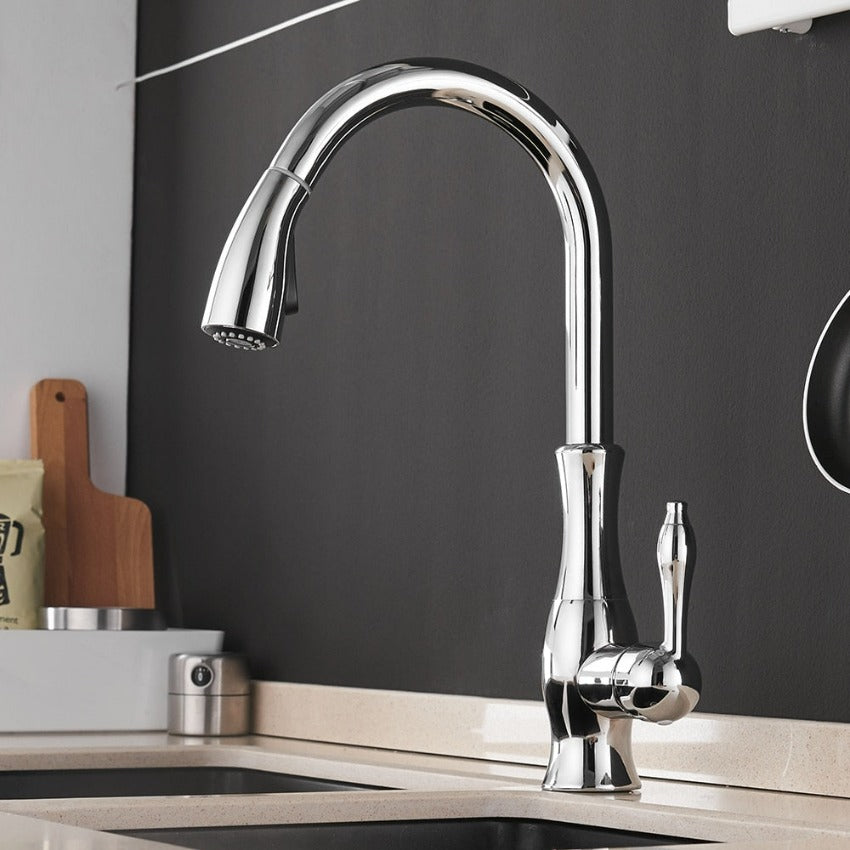 Sleek Stainless Steel Retractable Spray Head Pull-Out Kitchen Faucet