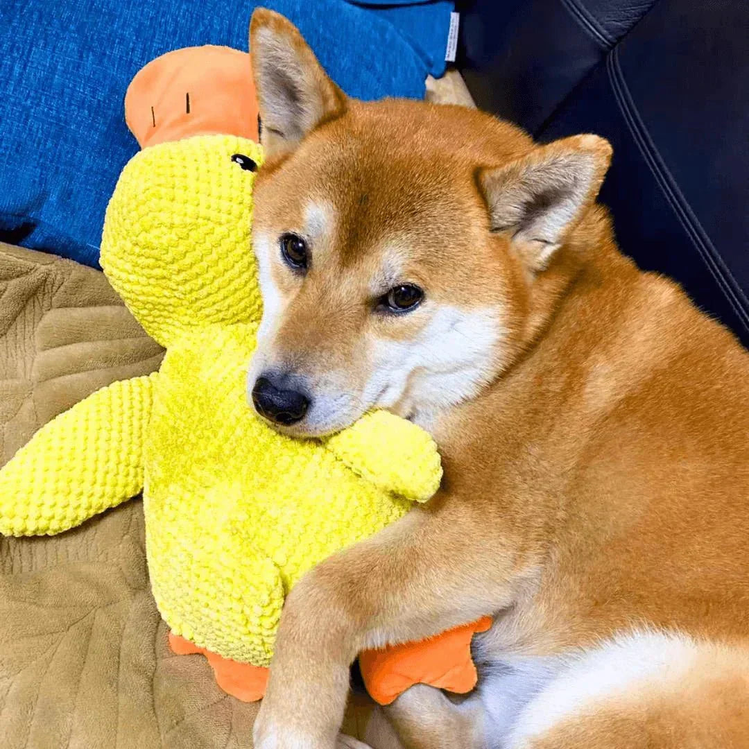 Durable Quacking Duck Chew Toy For Anxiety Relieving Dog Play