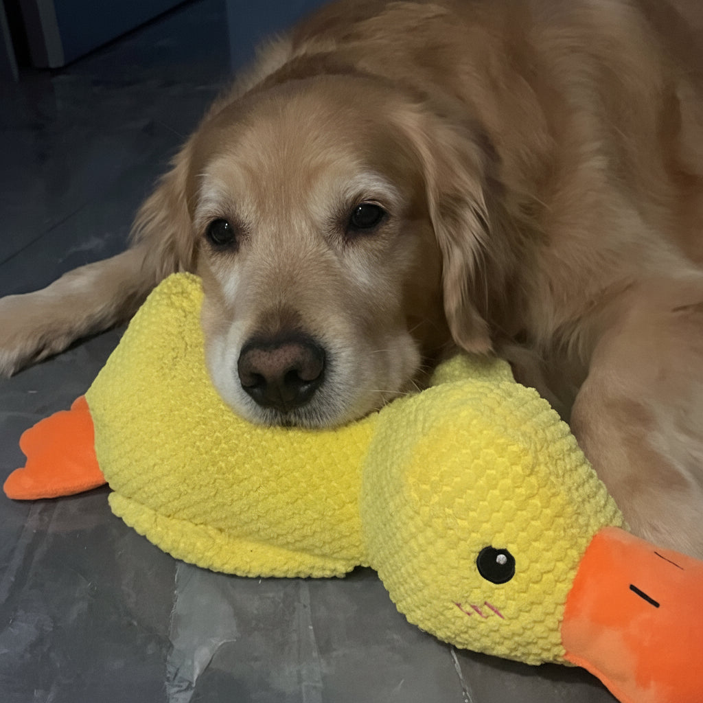 Durable Quacking Duck Chew Toy For Anxiety Relieving Dog Play