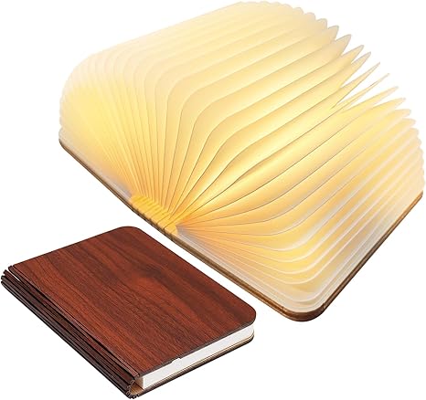 Sculptural Open Book Rechargeable Touch Sensor Table Lamp