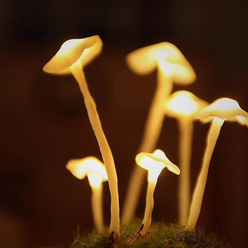 Customizable Mushroom Cluster Battery Powered DIY Table Lamp