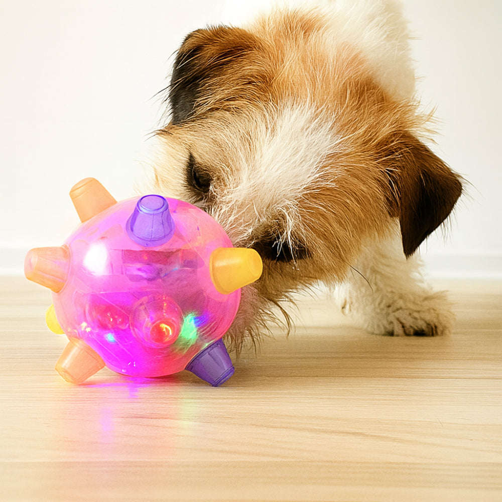 Flashing Light Bouncing Interactive Rubber Ball Dog Toy