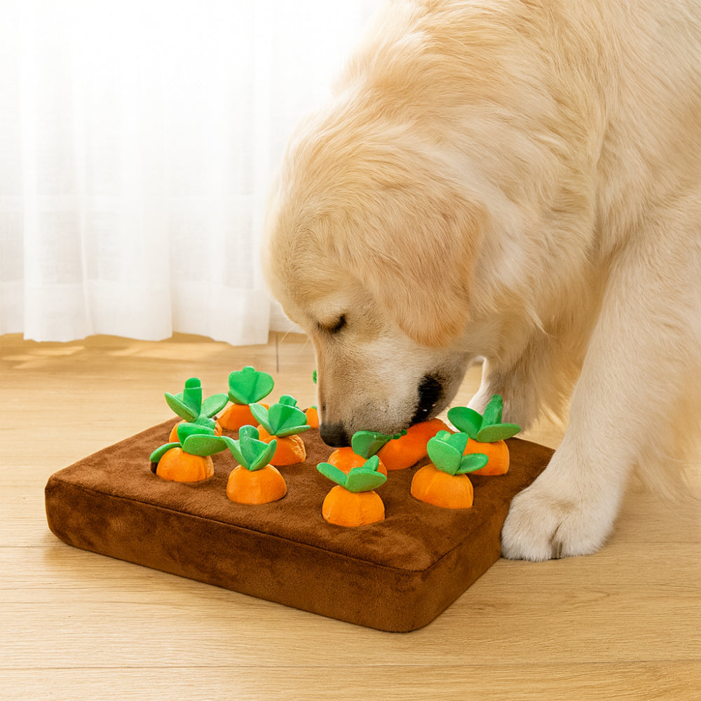 Plush Hidden Pocket Foraging Snuffle Mat Dog Toy