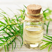 Huile d'arbre à thé