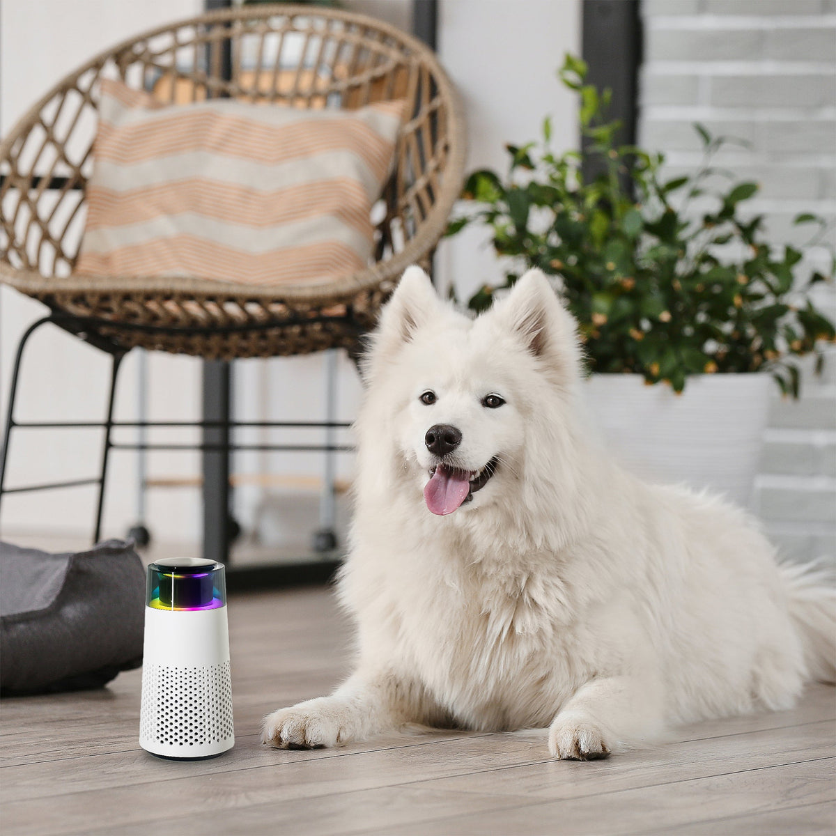 Compact Pet Odor Neutralizing Air Purifier and Humidifier