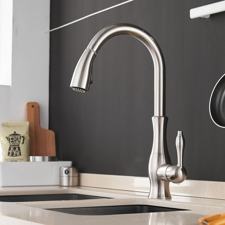 Sleek Stainless Steel Retractable Spray Head Pull-Out Kitchen Faucet