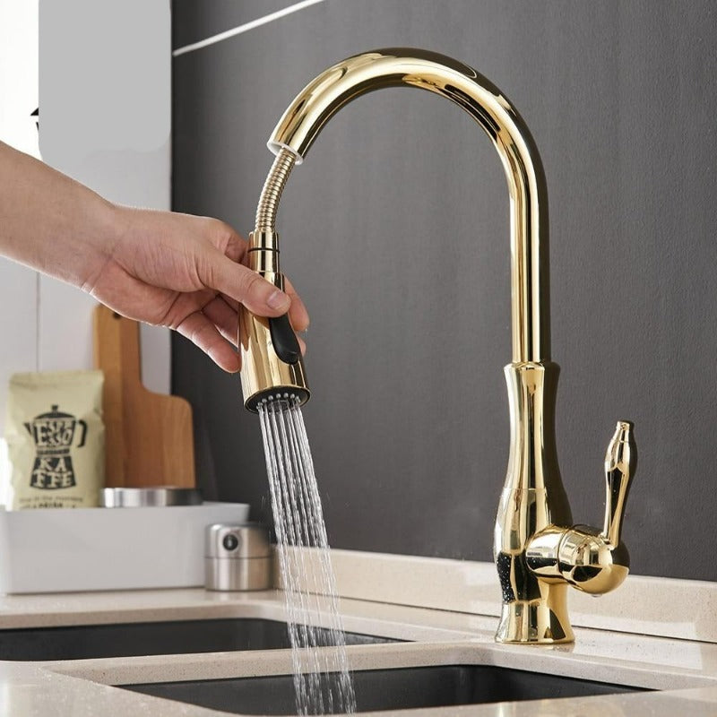 Sleek Stainless Steel Retractable Spray Head Pull-Out Kitchen Faucet