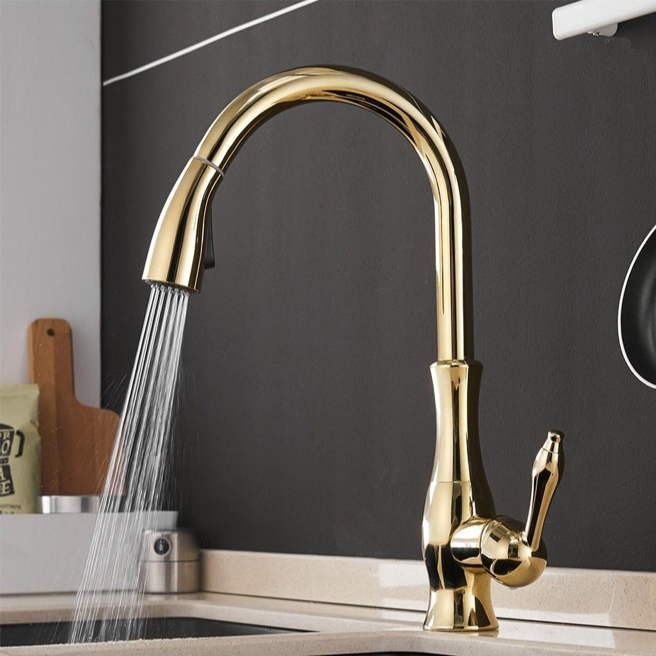 Sleek Stainless Steel Retractable Spray Head Pull-Out Kitchen Faucet
