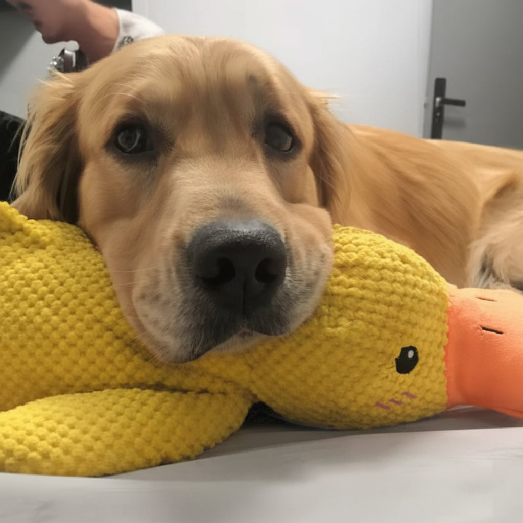 Durable Quacking Duck Chew Toy For Anxiety Relieving Dog Play