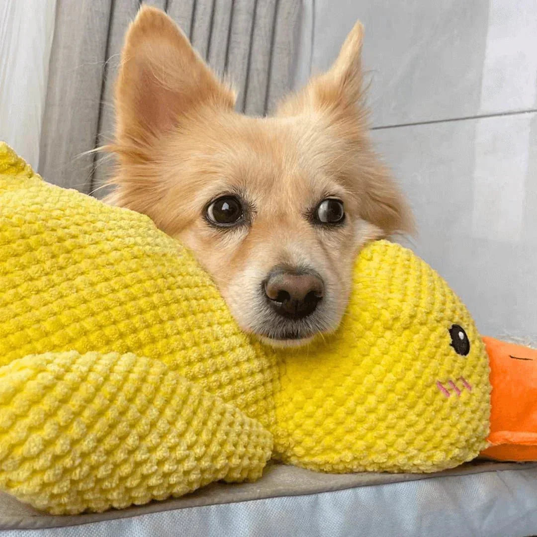 Durable Quacking Duck Chew Toy For Anxiety Relieving Dog Play
