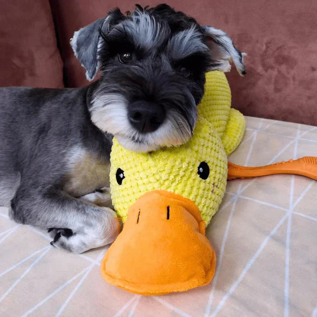 Durable Quacking Duck Chew Toy For Anxiety Relieving Dog Play